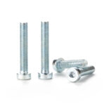 8.8-white-zinc-Hexagon-socket-thin-head-cap-screws-1