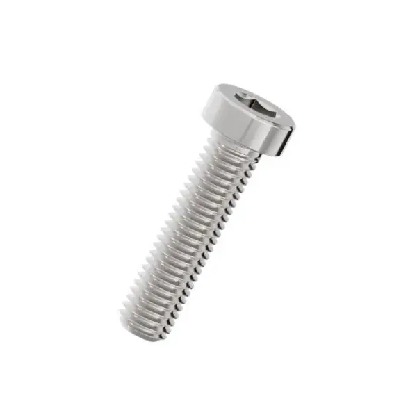 Hexagon-socket-thin-head-cap-screws-304