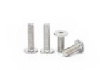Hexagon-socket-ultra-low-flat-head-screw-304-1