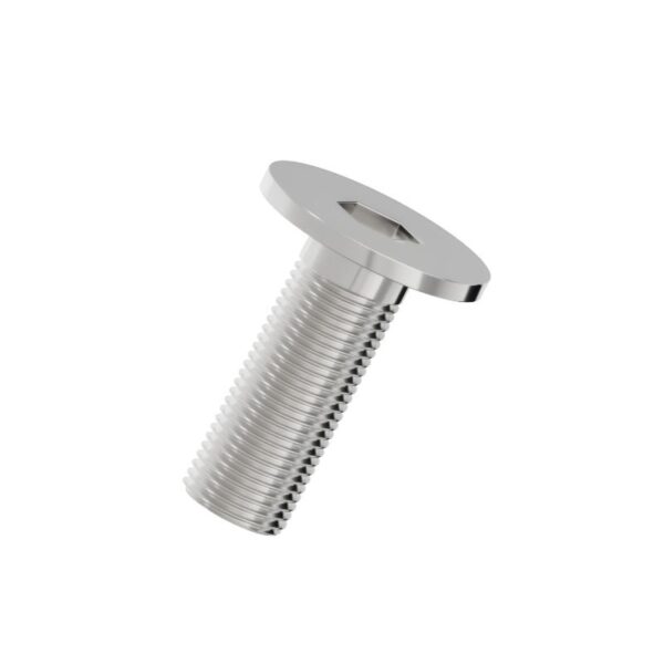 Hexagon-socket-ultra-low-flat-head-screw-304