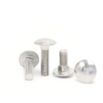 Carriage-bolt-304-1