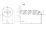Cross-Pan-Head-Self-Tapping-Screw-with-Washer-M3.5X20X7.5.jpg