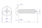 Cross-Pan-Head-Self-Tapping-Screw-with-Washer-M4X20X10.jpg