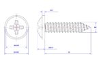 Cross-Pan-Head-Self-Tapping-Screw-with-Washer-M4X22X8.5.jpg