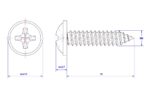 Cross-Pan-Head-Self-Tapping-Screw-with-Washer-M6X16X13.jpg