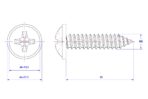 Cross-Pan-Head-Self-Tapping-Screw-with-Washer-M8X20X17.5.jpg