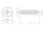Cross-Pan-Head-Self-Tapping-Screw-with-Washer-M8X40X17.5.jpg