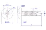 Cross-Recess-Pan-Head-Self-Drilling-Screw-M6.3X32