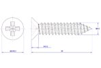 Cross-Recessed-Flat-Head-Self-Tapping-Screw-M5.5X28