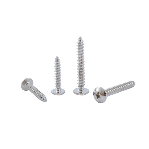 Cross-Recessed-Truss-Head-Self-Tapping-Screw-304-1