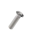 Cross-recessed-raised-countersunk-head-screw-304