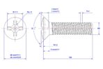 Cross-recessed-raised-countersunk-head-screw-M6X100