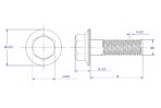 Hexagon-flange-bolt-Serrated-M4X8