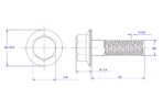 Hexagon-flange-bolt-Serrated-M5X25