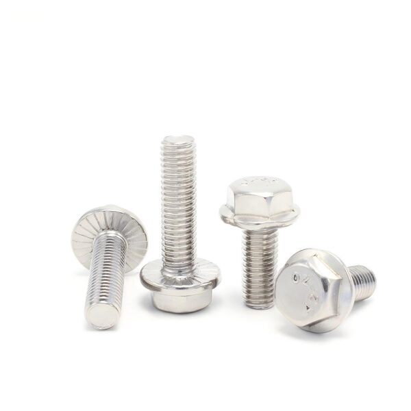 Hexagon-flange-bolts-304-1