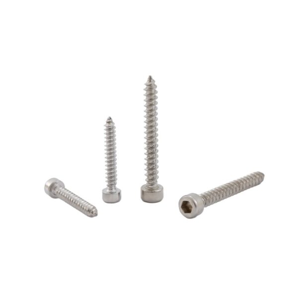 Hexagon-socket-cap-head-Self-Tapping-Screw-304-1