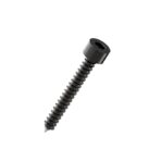 Hexagon-socket-cap-head-Self-Tapping-Screw-Black