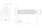 Hexagon-socket-pan-head-self-tapping-screw-M5X55