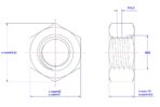 Hexagonal-nut-M22