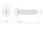 Phillips-hex-flange-Self-Tapping-Screw-M4X12