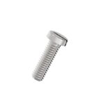 Slotted-cheese-head-Screws-304-