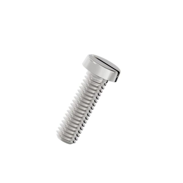 Slotted-cheese-head-Screws-304-