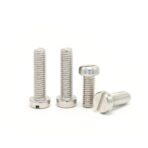 Slotted-cheese-head-Screws-304-1