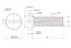 Slotted-cheese-head-screw-M10X100