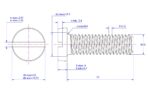 Slotted-cheese-head-screw-M10X75