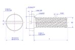 Slotted-cheese-head-screw-M3X4