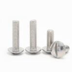 Slotted-large-raised-cheese-head-screws-304-1