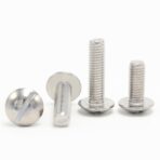 Slotted-large-raised-cheese-head-screws-304-2