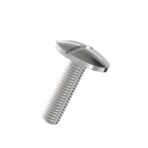 Slotted-large-raised-cheese-head-screws-304-3