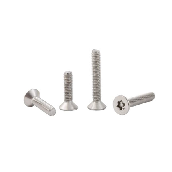 Tamper-resistant-Torx-countersunk-screw-304-1