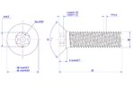 Tamper-resistant-Torx-countersunk-screw-M5X25