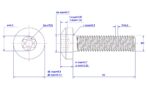 Tamper-resistant-Torx-pan-head-screw-M5X45