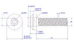 Tamper-resistant-Torx-pan-head-screw-M8X60