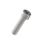 Torx-Cap-Head-Screw-304