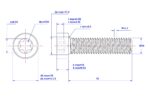 Torx-Cap-Head-Screw-M10X70