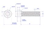 Torx-Cap-Head-Screw-M5X45