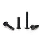 Torx-Ultra-flat-head-screw-black-1