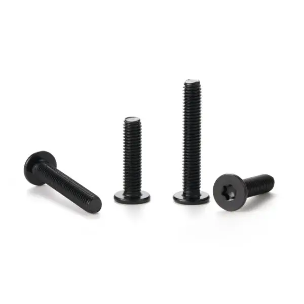 Torx-Ultra-flat-head-screw-black-1