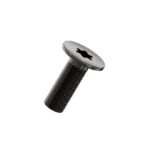 Torx-Ultra-flat-head-screw-black