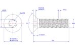 Torx-countersunk-screw-M10X100