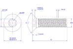 Torx-countersunk-screw-M12X55