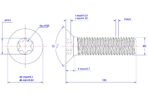 Torx-countersunk-screw-M5X100