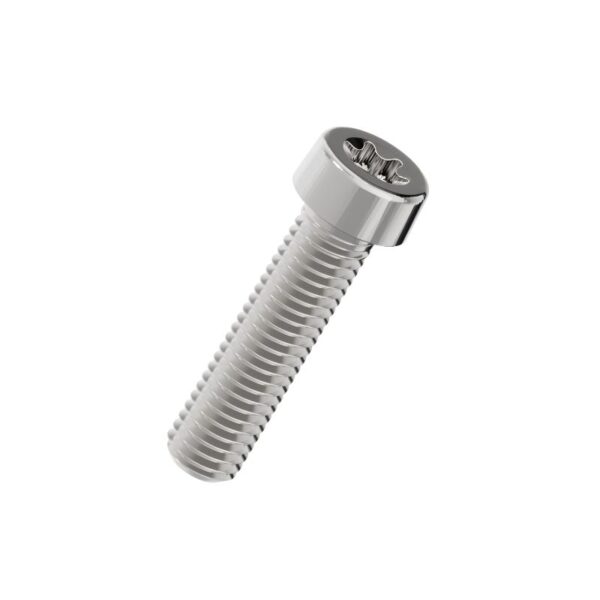 Torx-low-cup-head-screw-304