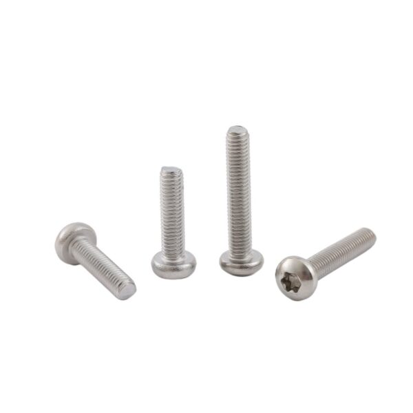 Torx-pan-head-screw-304-1