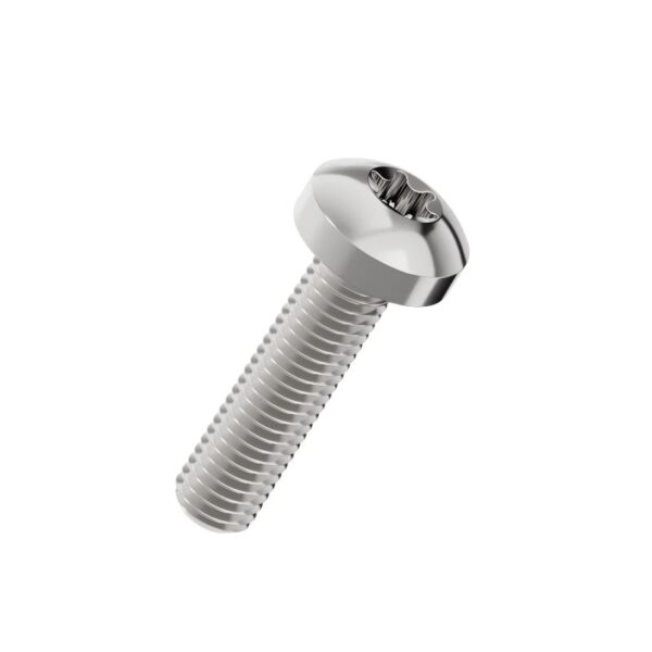 Torx-pan-head-screw-304
