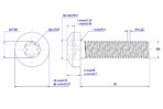 Torx-pan-head-screw-M8X80